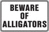 Beware of Gators