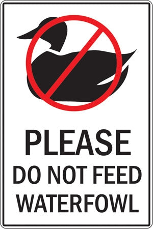 Don't Feed Ducks