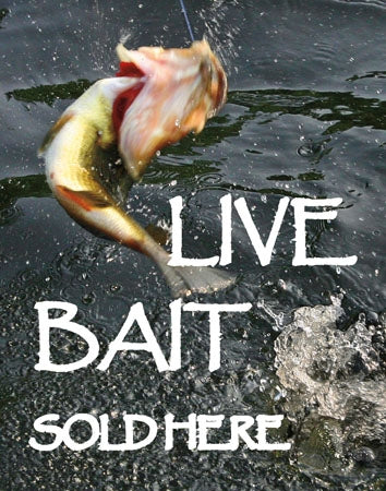 22"w x 28"h Insert- "Live Bait Sold Here"