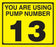 Pump Decal- Black on Yellow, "You are using Pump Number 13"