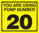 Pump Decal- Black on Yellow, "You are using Pump Number 20"