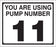 Pump Decal- Black on White, "You are using Pump Number 11"